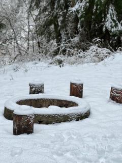 Log Cabin at Rainier Lodge (0.4 miles from entrance) - Ashford - 9