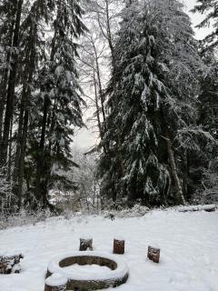 Log Cabin at Rainier Lodge (0.4 miles from entrance) - Ashford - 5