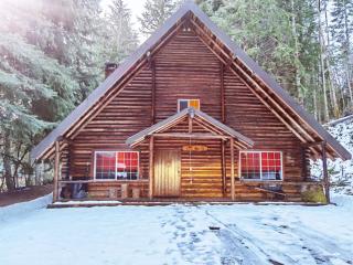 Log Cabin at Rainier Lodge (0.4 miles from entrance) - Ashford - 0