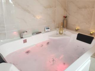 Appartement Bulle d'antan en cœur de ville - Monument classé historique - Grand Jaccuzi - 1