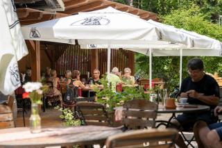 Guesthouse Draga - Begunje na Gorenjskem - 8