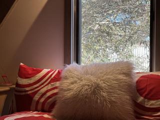 Brindabella Chalet alpine-getaways - Dinner Plain - 9