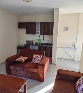 Stunning one bedroom furnished apartment - 4