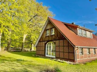 Urlaub mit Hund im Ferienhaus am Wingster Wald - 0