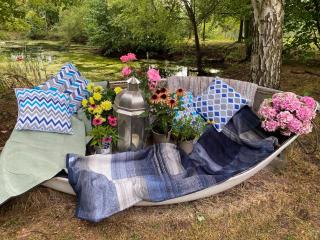 Rose cottage - Wellington - 3