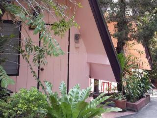 New Maleena Ville Hotel - Chiang Rai - 1