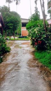 palmhouse - Mae Hong Son - 1