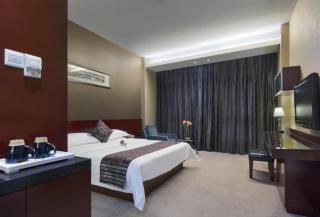 ZIXIN FOUR SEASONS HOTEL - 1