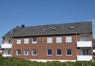 Strandkrabbe - Hörnum - 3