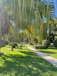 Le Week Riviera III -3 étoiles-Plage du midi-Grande terrasse-Piscine-Cannes- Palais des Festivals - 4