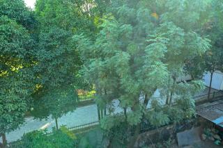 Magnolia Inn near GNRC & Secretariat GS Rd - Guwahati - 8