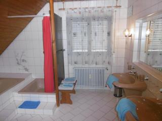 Ferienwohnung Ettenheim - Ettenheim - 1