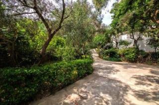 ISCHIA FORIO CASA villa, la Grille du Coq 3 il prezzo della villa è riferito all'intero alloggio con il limite delle persone previste n 6 - Ischia - 7