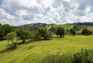 The Stone Barn - Downton - 9