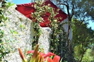 ISCHIA FORIO CASA villa, la Grille du Coq 3 il prezzo della villa è riferito all'intero alloggio con il limite delle persone previste n 6 - Ischia - 2
