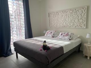 CARIBBEAN RESIDENCE - Sainte-Luce - 8