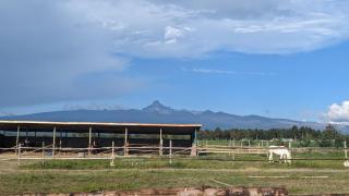The Besotted Cottage at Mount Kenya Farm Stay - Naro Moru - 7