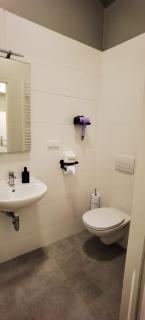 Amarilis - Dolce Duo Homes - Vienna - 6