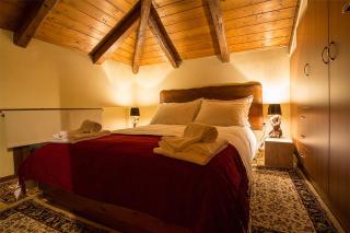 Monte Bianco Villas - Arachova - 3