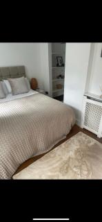 Gorgeous flat prime location - Londra - 5
