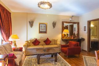 Monte Bianco Villas - Arachova - 9