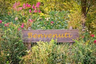 Agriturismo il Porcellino - 3