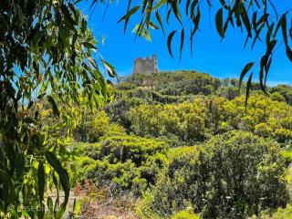 Torre di Chia Holiday Home - Chia - 0