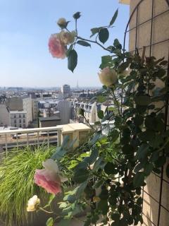 Magnificent Penthouse panaramic view of Paris - Parijs - 3
