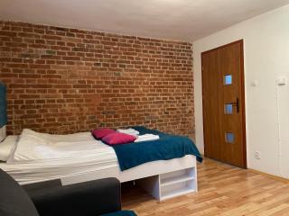 Apartment Konopnickiej - PARKING FREE - Toruń - 4