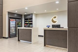 Comfort Inn & Suites Irving Las Colinas DFW - Irving - 5