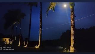 Hotel Casa Branca - 8