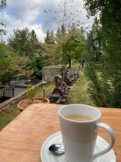 The Patagonian Lodge - Coihaique - 1