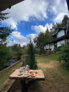 The Patagonian Lodge - Coihaique - 1