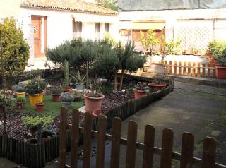 Anna's Garden Venice - Venice - 8