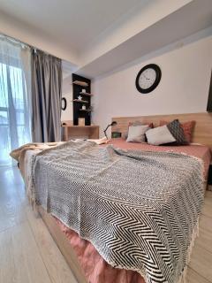 Studio Central Exer I - Bucharest - 5