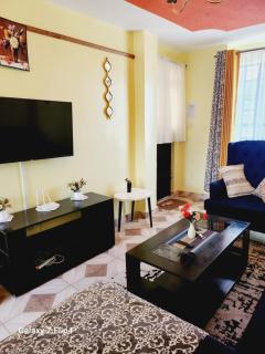 Cosy 1 Bedroom TRM,Thika Rd - Nairobi - 0