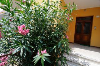 Appartamento Colli & Terme - Battaglia Terme - 8