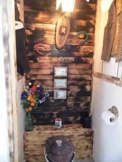 L'histoire de l'ouest , jacuzzi appartement - Dole - 3