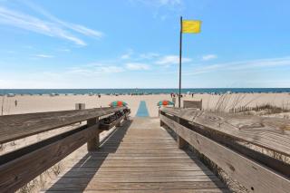 Cozy 1BR/1BA Condo w/ Stunning Views - Orange Beach - 8