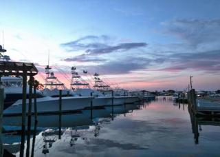 Cozy 2BD/2BA w/ View, Sleeps 6 - Orange Beach - 3