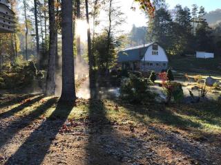 Barn Vibes + Petting Zoo + Hot Tub! - Sugar Grove - 5
