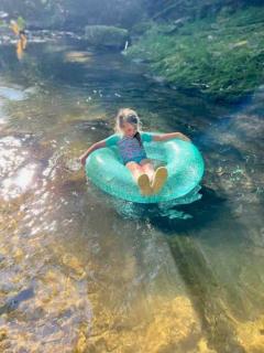 Barn Vibes + Petting Zoo + Hot Tub! - Sugar Grove - 4