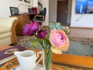 Apartman Pax Plena Međugorje - Međugorje - 3