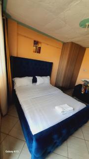 Studios in roysambu - Nairobi - 1