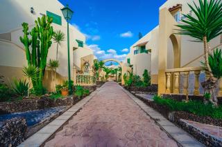Cozy Spacious SeaView 300m beach - Adeje - 5
