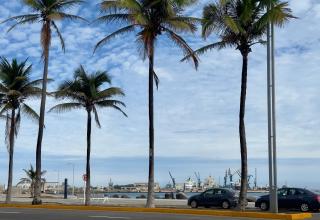 Suites Brisa Marina - atrás de Playa Regatas y el Malecón, 6 calles del Acuario - Veracruz - 4
