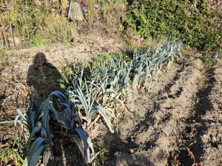 Gîte de France à Eygurande 2 épis - Gîte de France 4 personnes MAE-9164 - 7