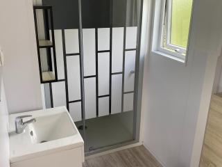 Chalet in Friesland near Nature Reserves - De Veenhoop - 1