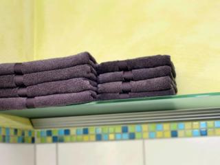 Holiday apartment in the rose garden - Birach - 2