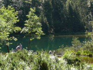 Holiday apartment carefree - 5